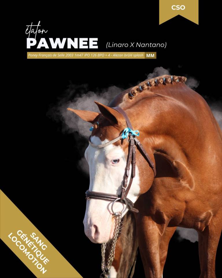 SAILLIES ETALON DE COULEUR 