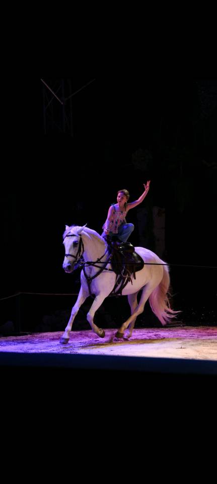 Jument &agrave; placer