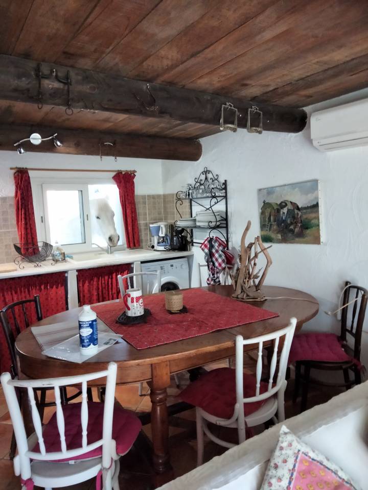 G&Icirc;TE EQUESTRE EN CAMARGUE