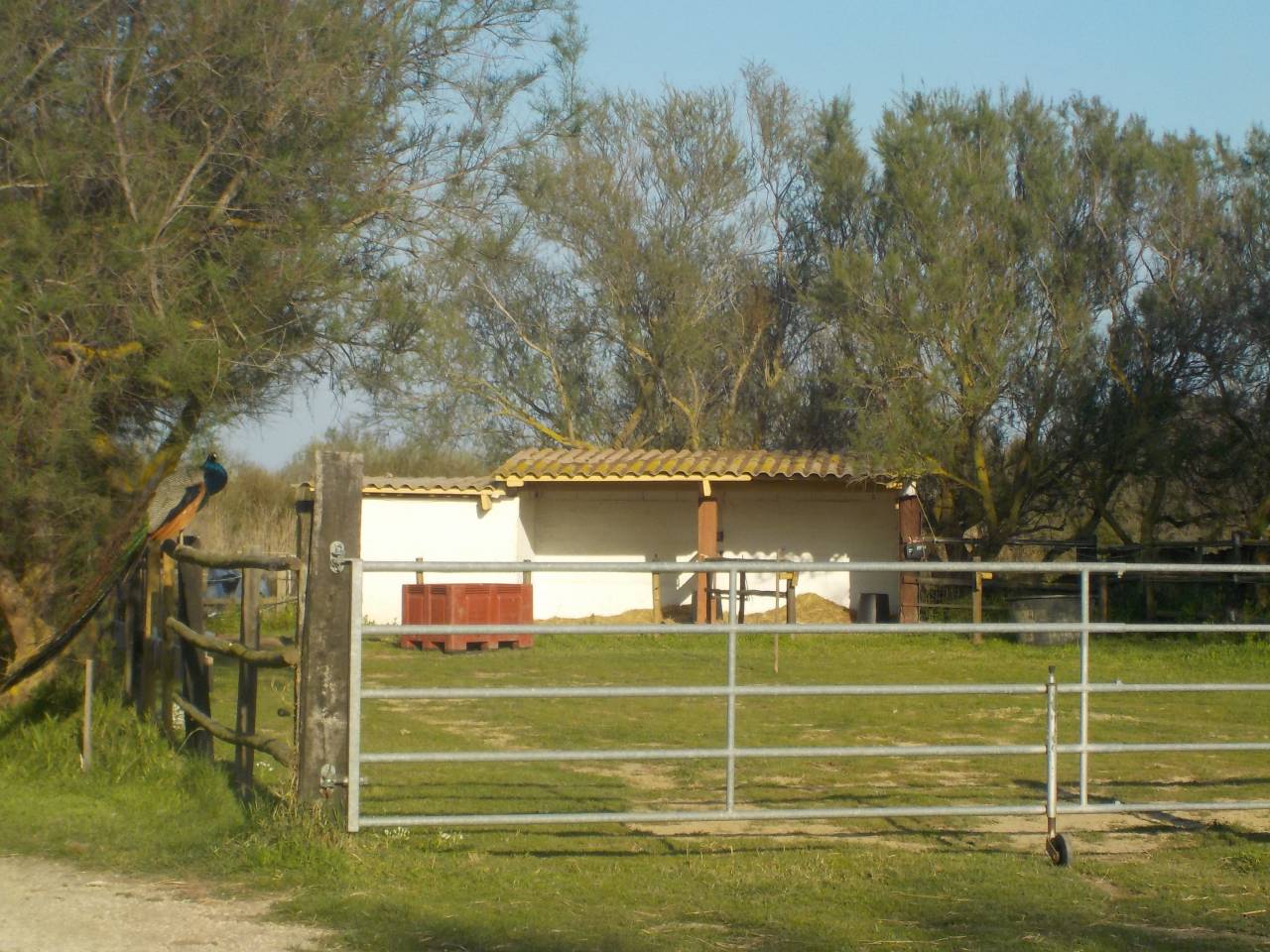 G&Icirc;TE EQUESTRE EN CAMARGUE