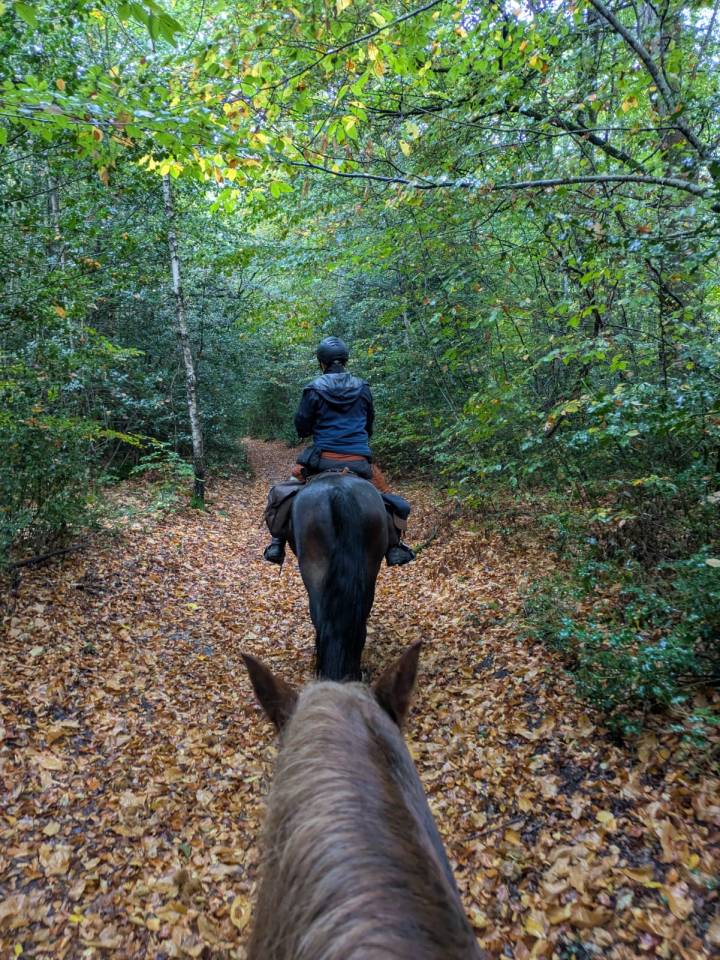 Accompagnateur de Tourisme Equestre