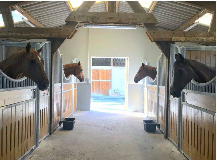 Normandie Pays d'Auge : Propri&eacute;t&eacute; &eacute;questre 25 hectares