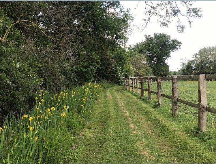 Normandie Pays d'Auge : Propri&eacute;t&eacute; &eacute;questre 25 hectares