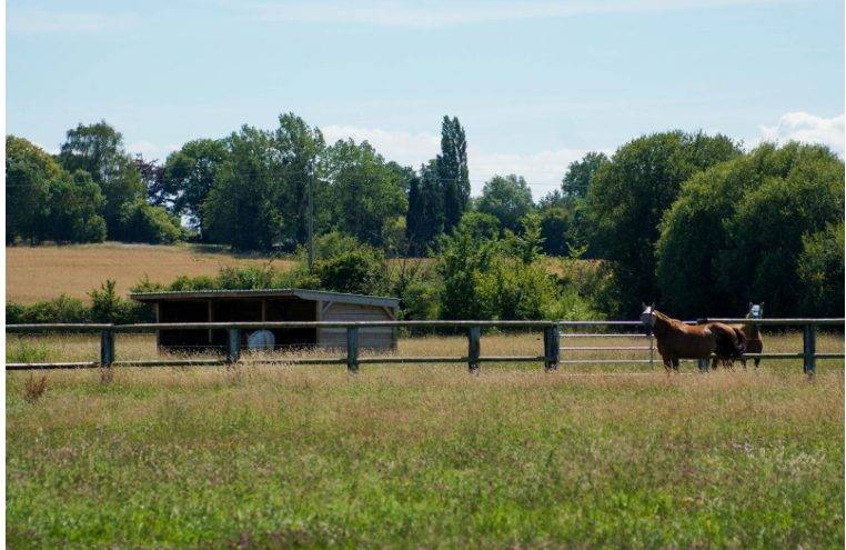 Normandie Pays d'Auge : Propri&eacute;t&eacute; &eacute;questre 25 hectares