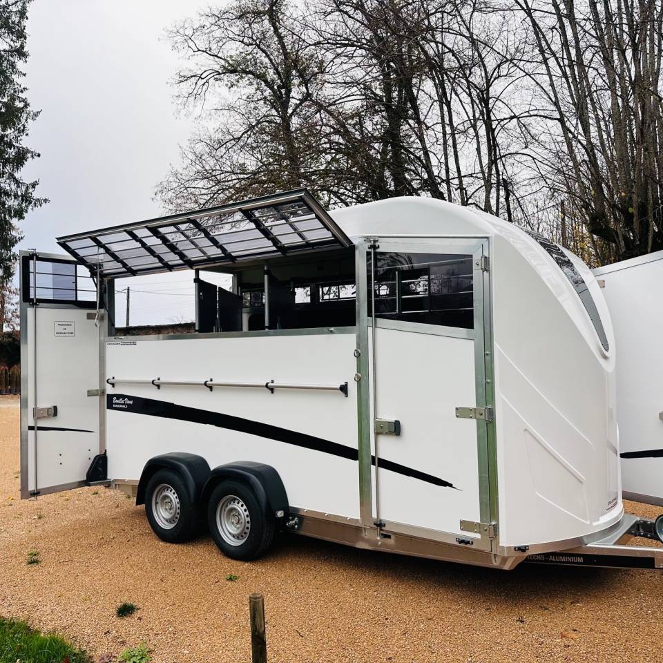 Van Bonilla Diagonal 3