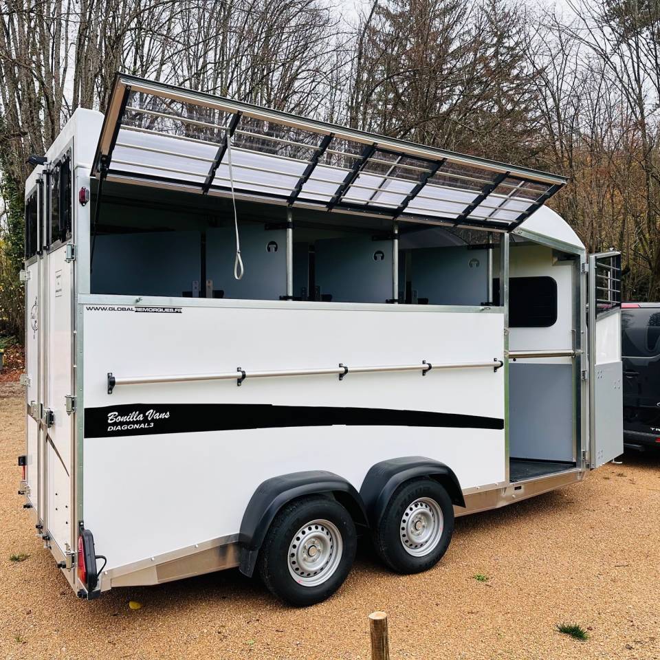 Van Bonilla Diagonal 3