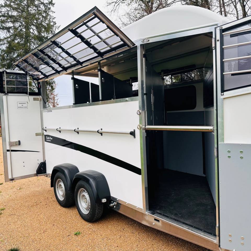 Van Bonilla Diagonal 3