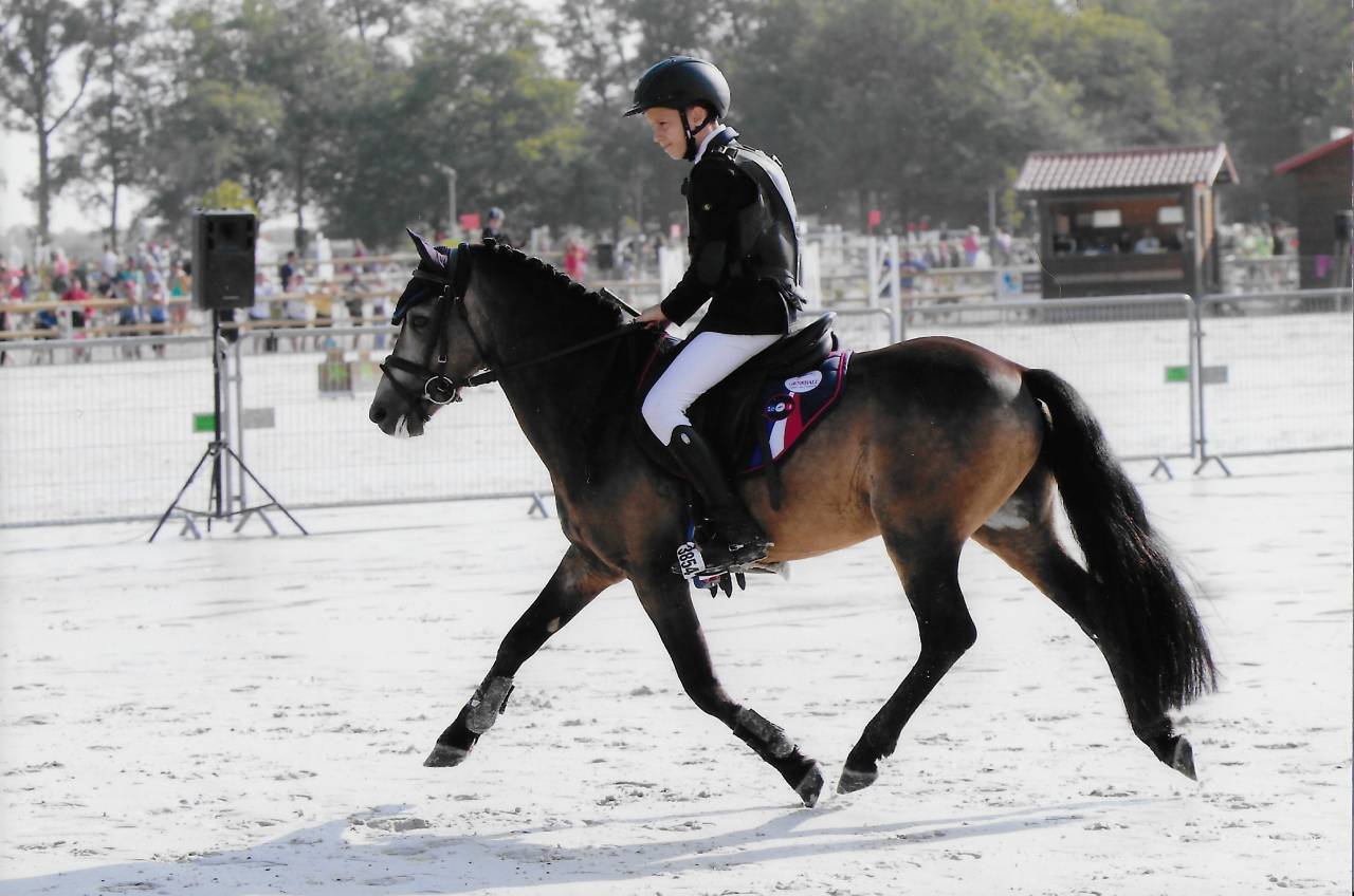 IPC 161, IPO 148, BPO+2, performant CSO, CCE, Dressage 