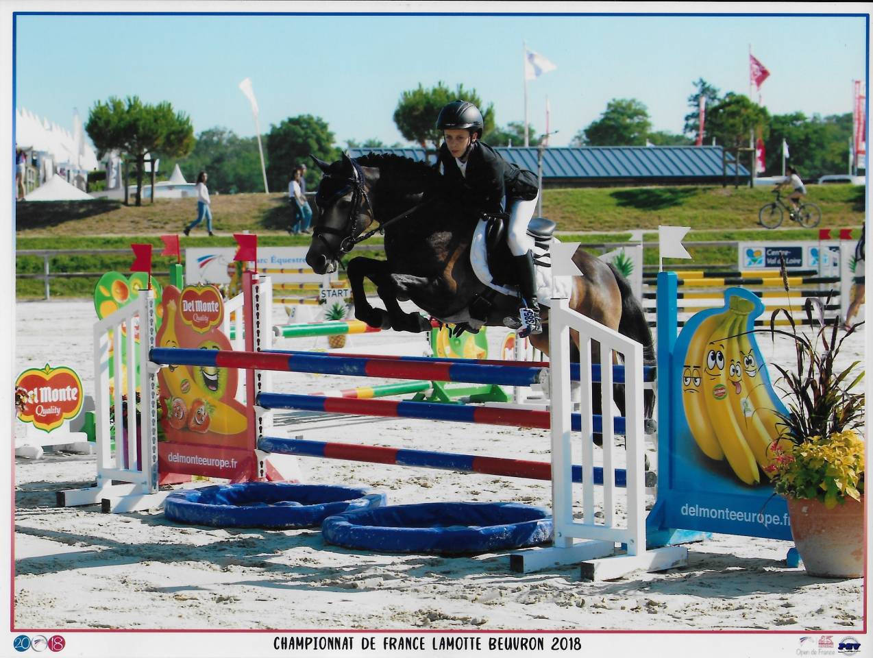 IPC 161, IPO 148, BPO+2, performant CSO, CCE, Dressage 