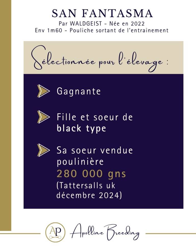 J. gagnante pr courses ou &eacute;levage / Fille & soeur de BT