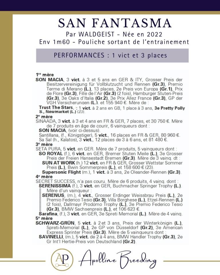 J. gagnante pr courses ou &eacute;levage / Fille & soeur de BT