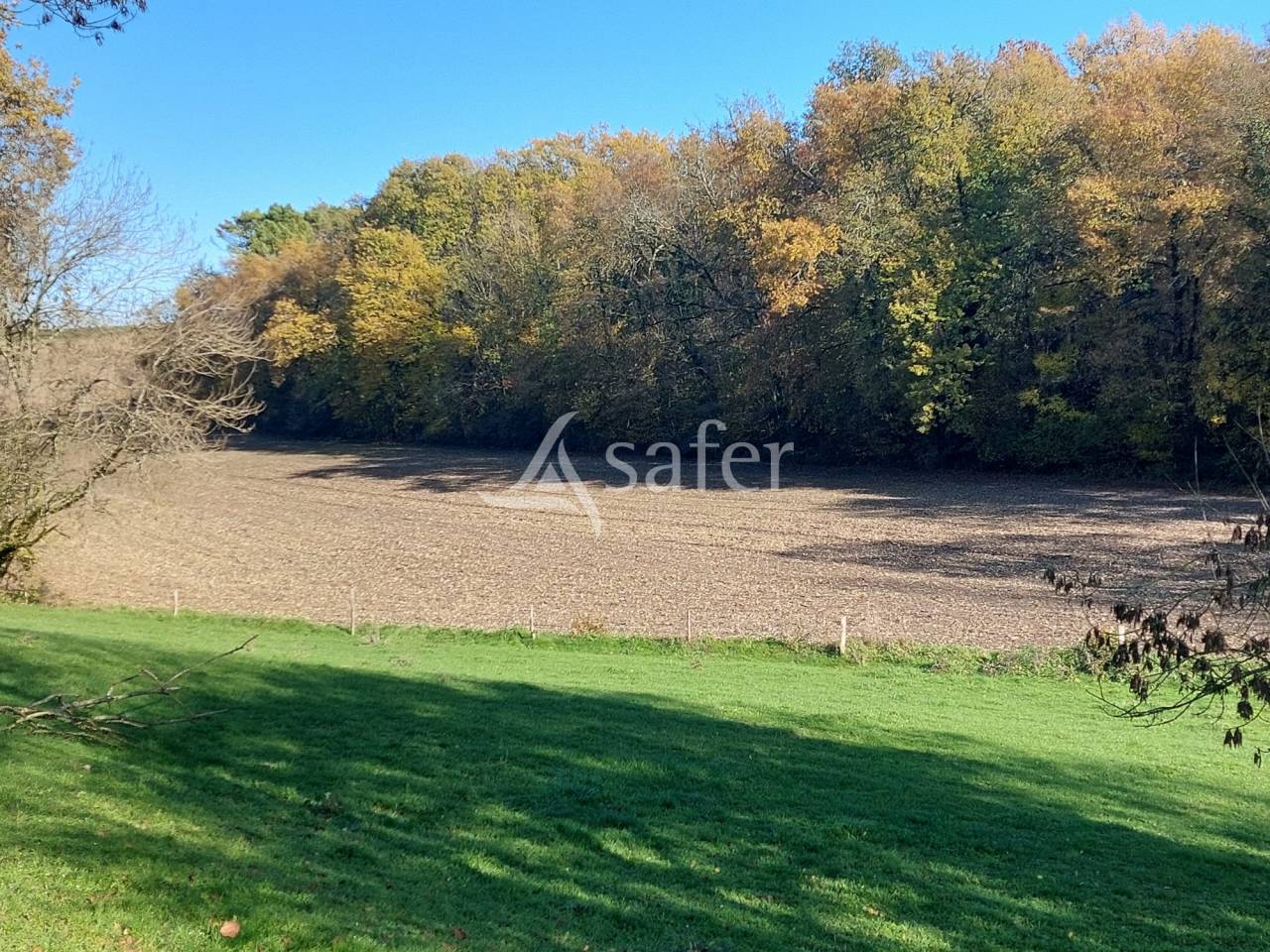 Exploitation d'&eacute;levage sur 104ha, proche Rib&eacute;rac