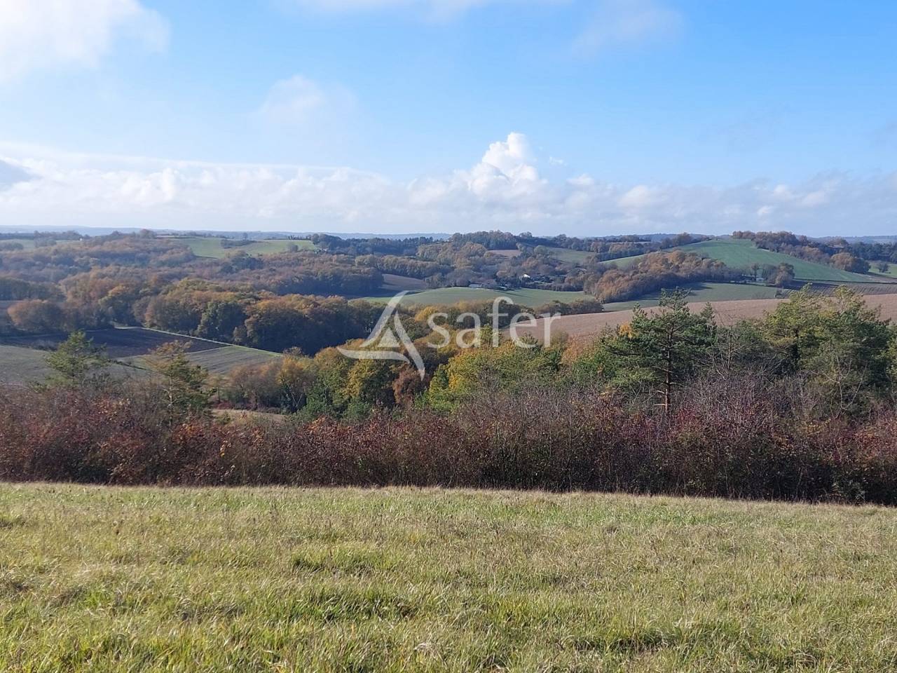 Exploitation d'&eacute;levage sur 104ha, proche Rib&eacute;rac