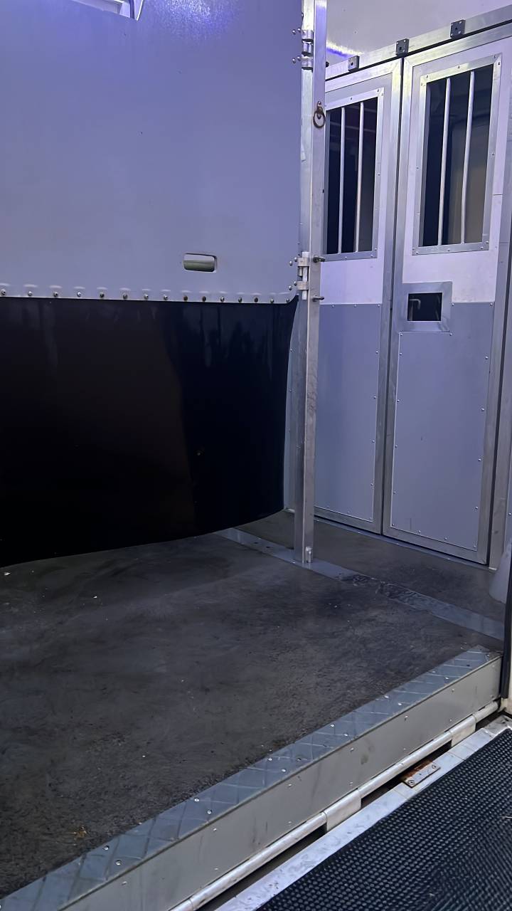 Camion VL Chevaux Renault Master 2020 Occasion