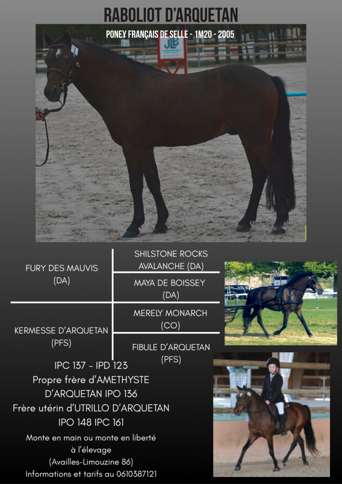 Mod&egrave;le, qualit&eacute; de saut, allures, vrai poney d'enfant