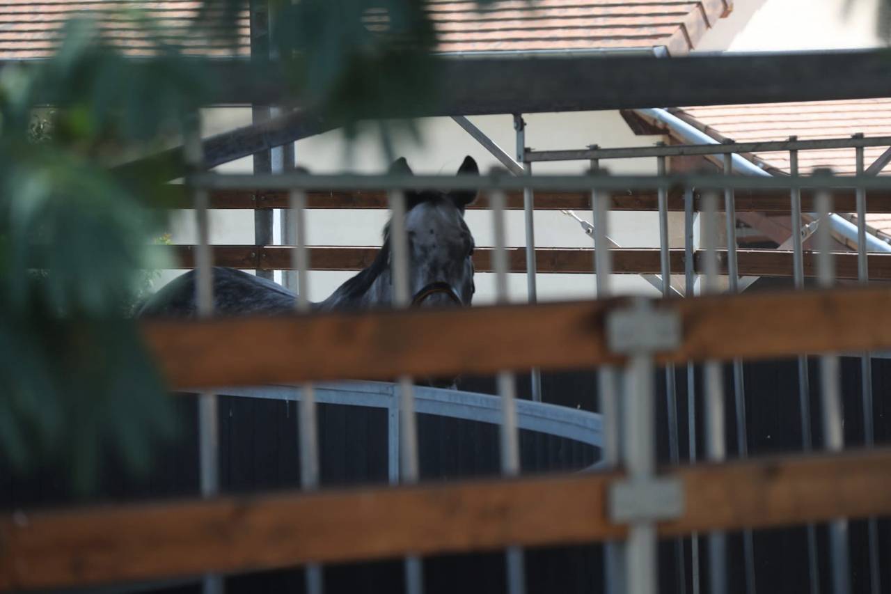 Haras d'&eacute;levage de 39 hectares (71)