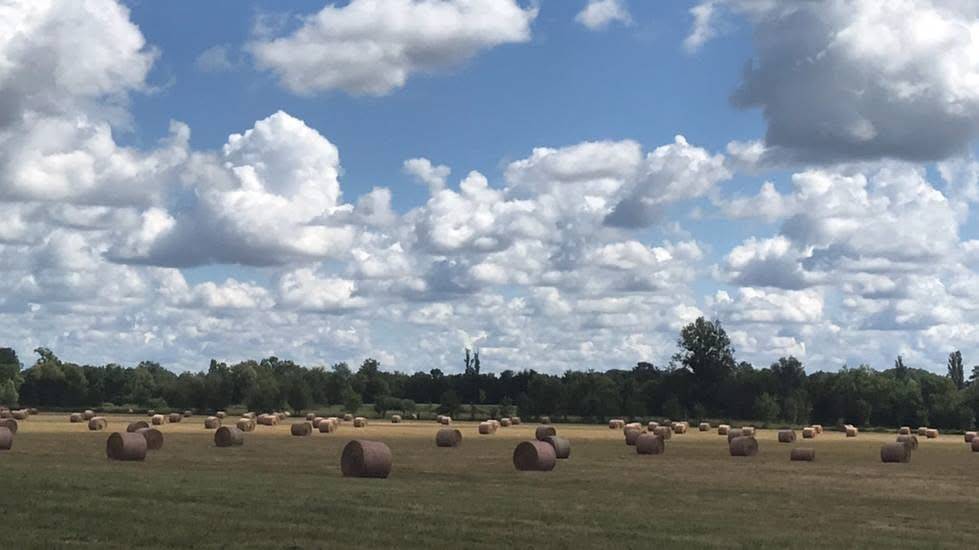 Haras d'&eacute;levage de 39 hectares (71)