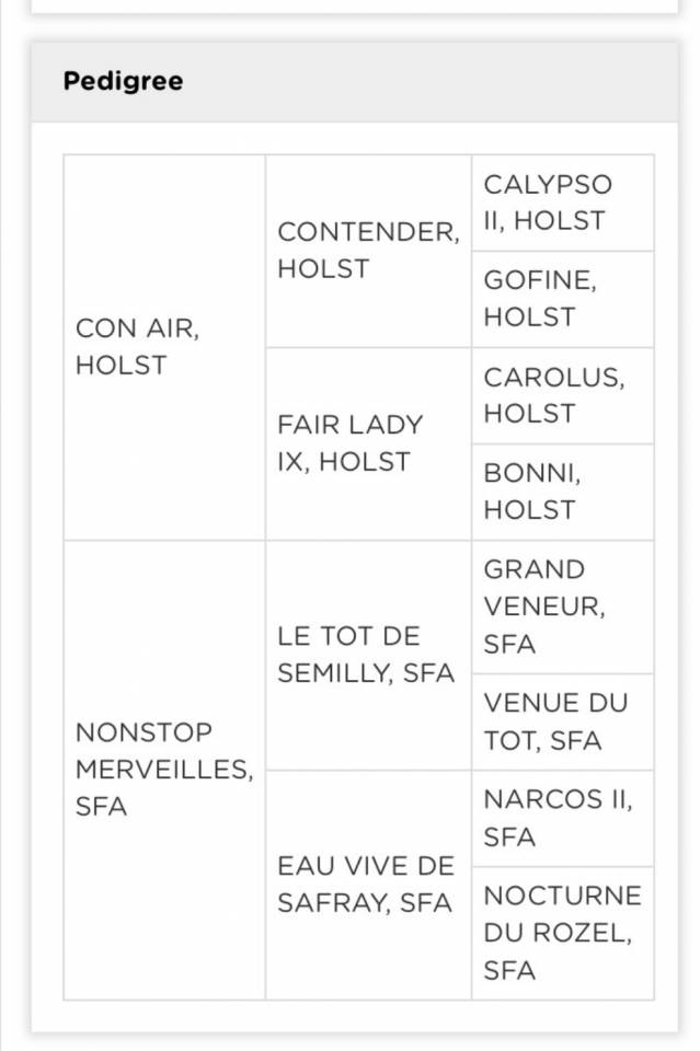 Jument SF &agrave; vendre 