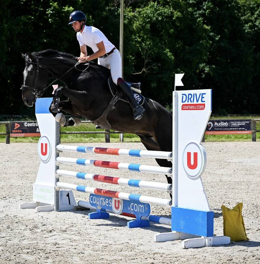 Super hongre 5 ans -cl&eacute; en main , facile