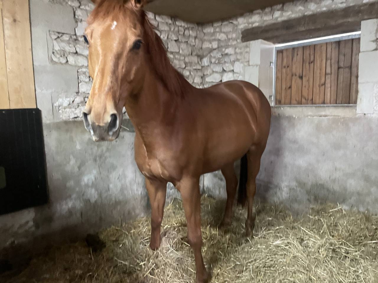&Agrave; vendre AQPS 12 ans