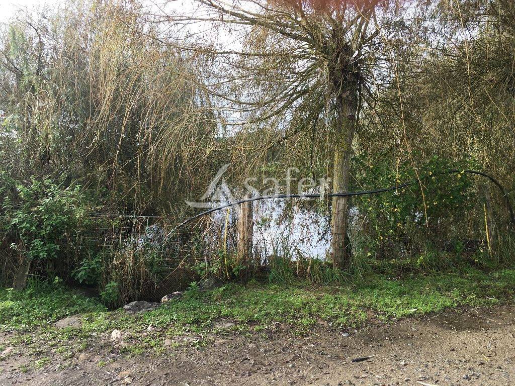 Propri&eacute;t&eacute; agricole bien group&eacute;e sur environ 43 ha