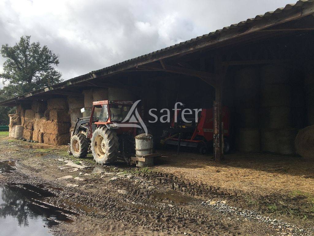Propri&eacute;t&eacute; agricole bien group&eacute;e sur environ 43 ha
