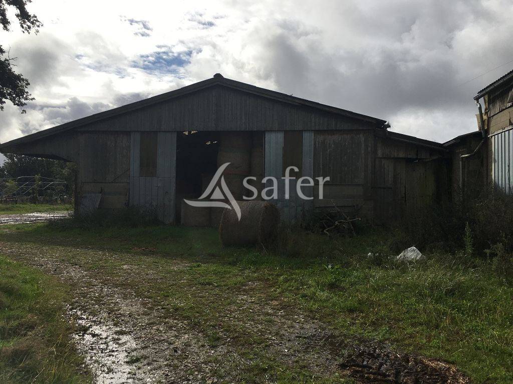 Propri&eacute;t&eacute; agricole bien group&eacute;e sur environ 43 ha