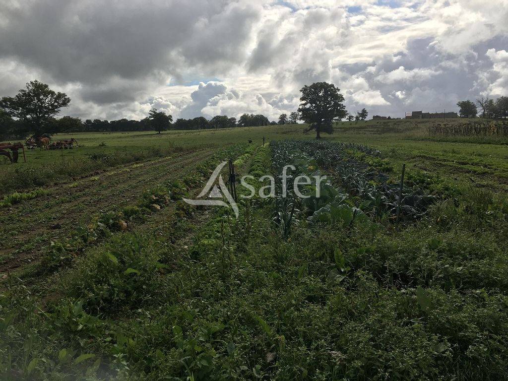 Propri&eacute;t&eacute; agricole bien group&eacute;e sur environ 43 ha