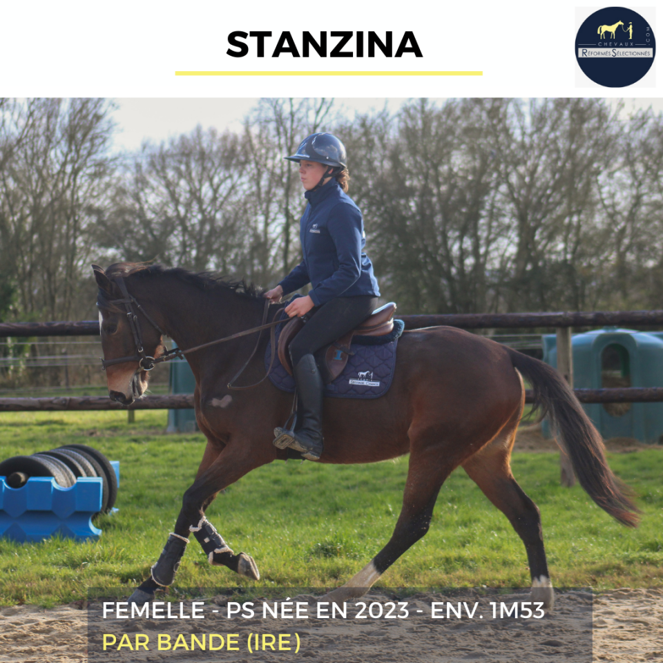 STANZINA - PS - 3 ANS