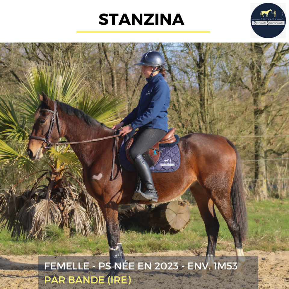 STANZINA - PS - 3 ANS
