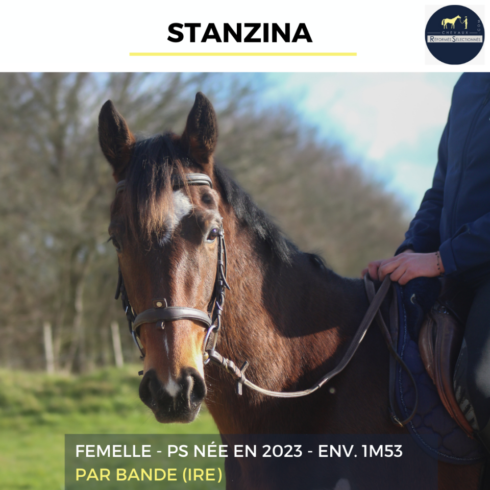 STANZINA - PS - 3 ANS