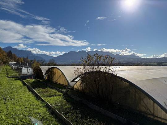 Propri&eacute;t&eacute; agricole 2.7ha - Maison contemporaine