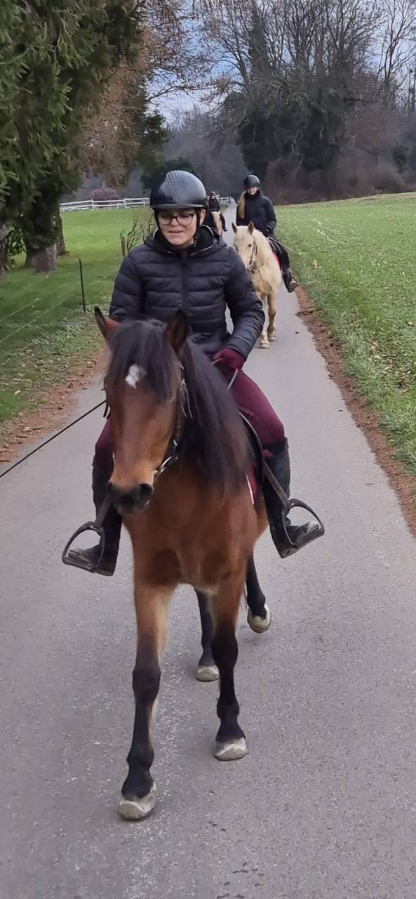 A vendre magnifique ponette 1m42 polyvalente