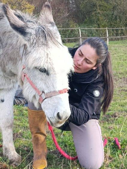 Massage &eacute;quin