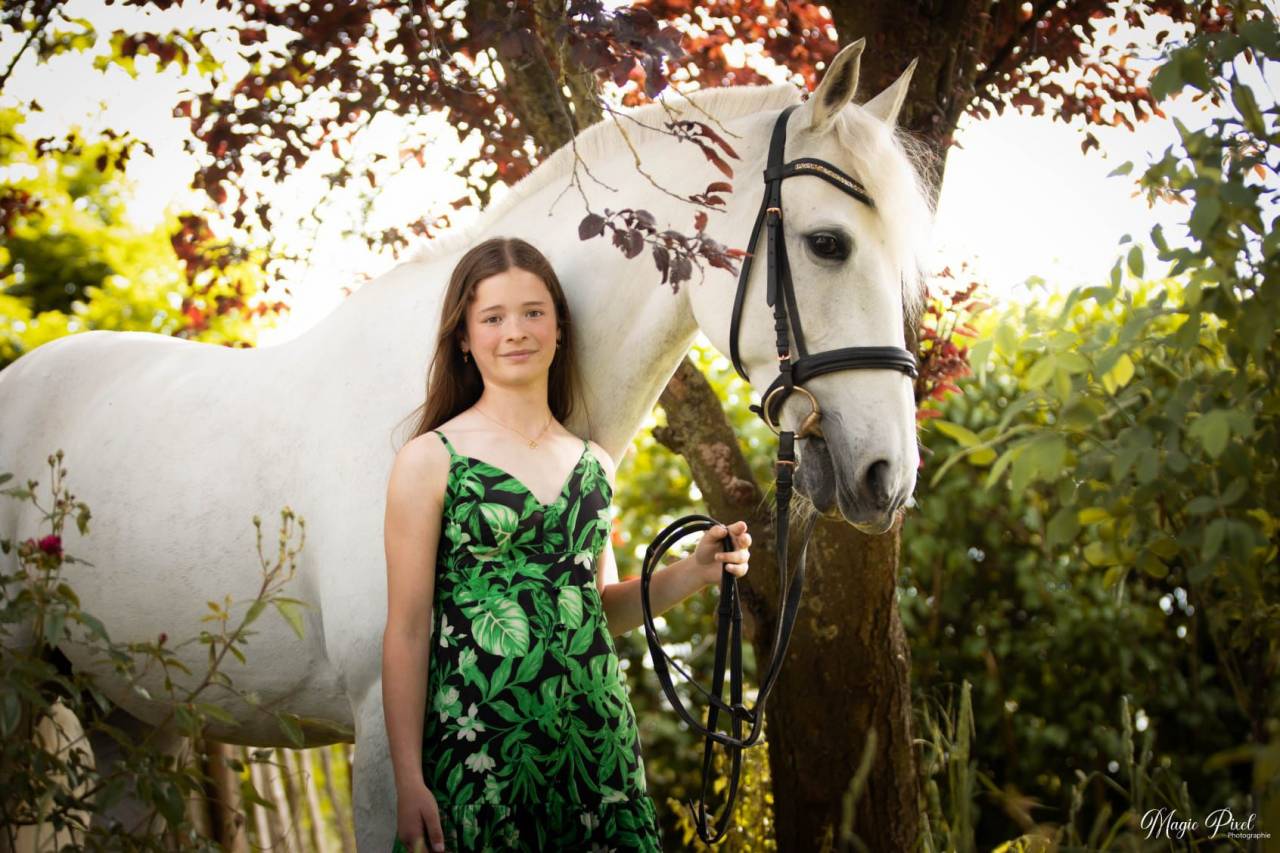 Jument d' origine lusitanienne 11 ans