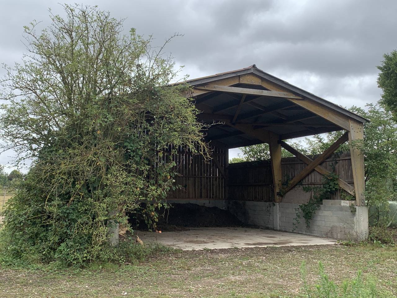 Domaine entre Rouen et Le Havre (for&ecirc;t de Brotonne) 