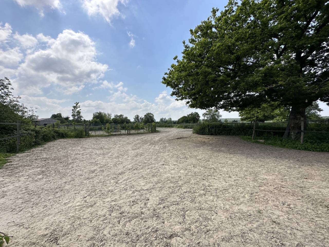 Domaine entre Rouen et Le Havre (for&ecirc;t de Brotonne) 