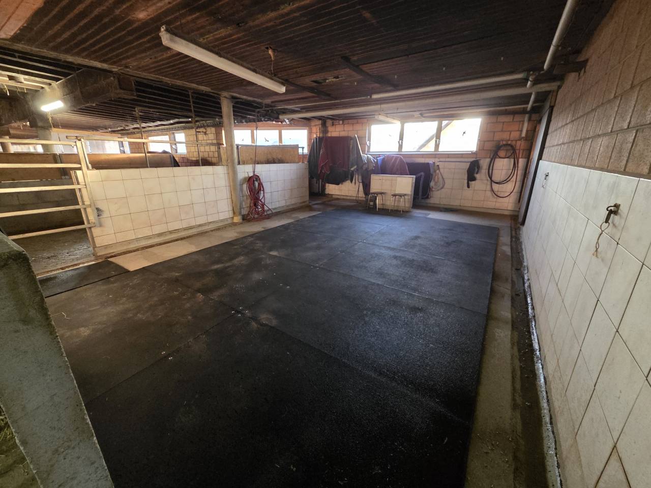 Stabulation libre pour chevaux 