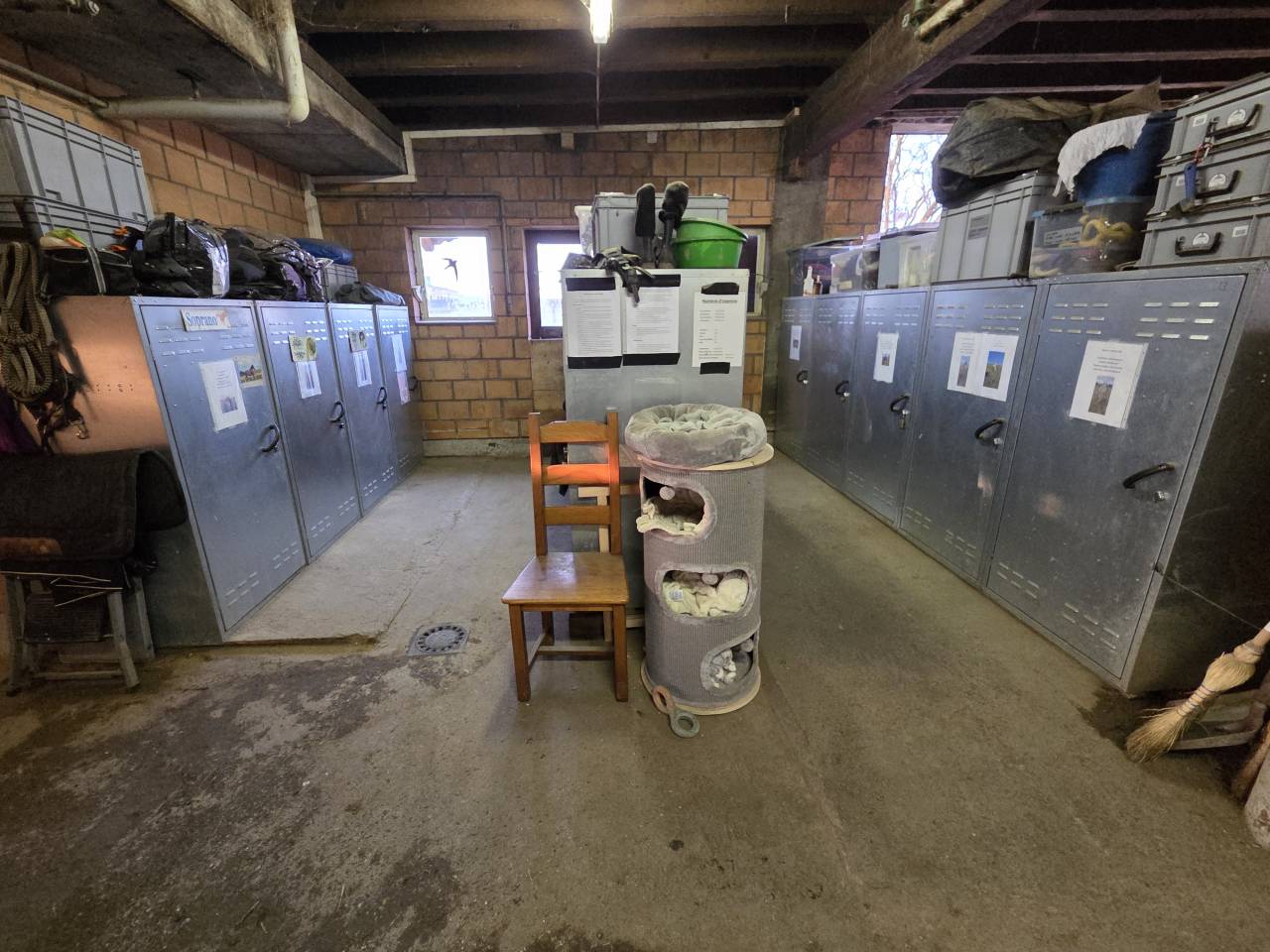 Stabulation libre pour chevaux 