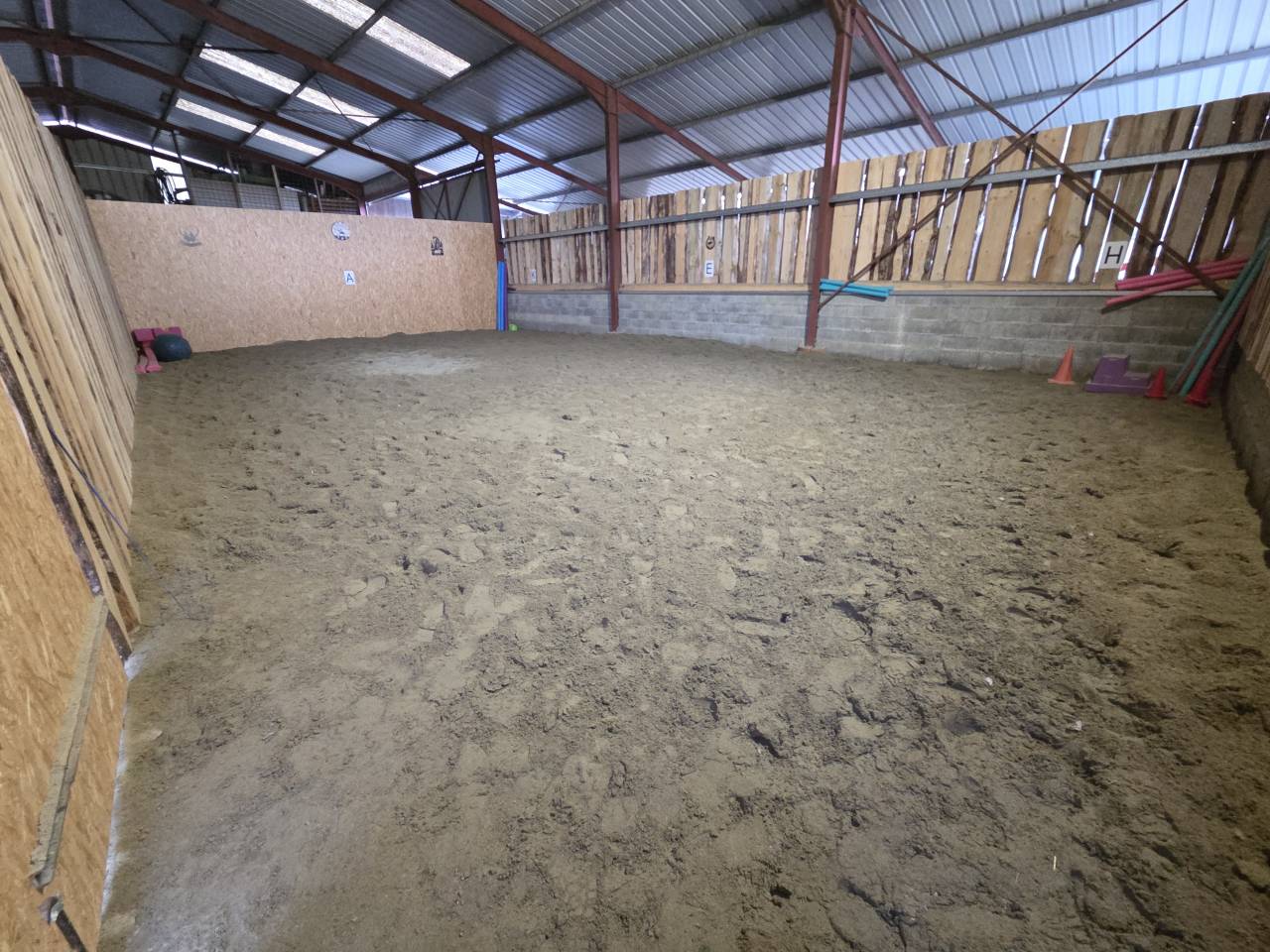 Stabulation libre pour chevaux 