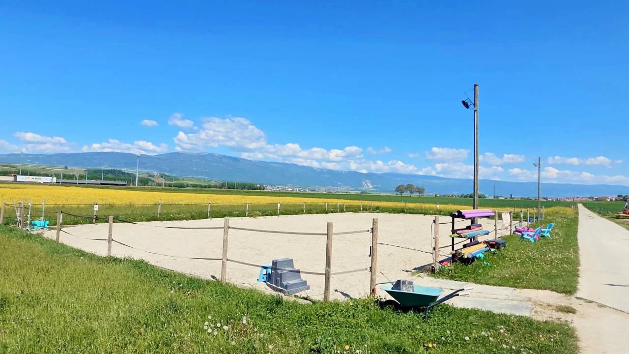 Stabulation libre pour chevaux 