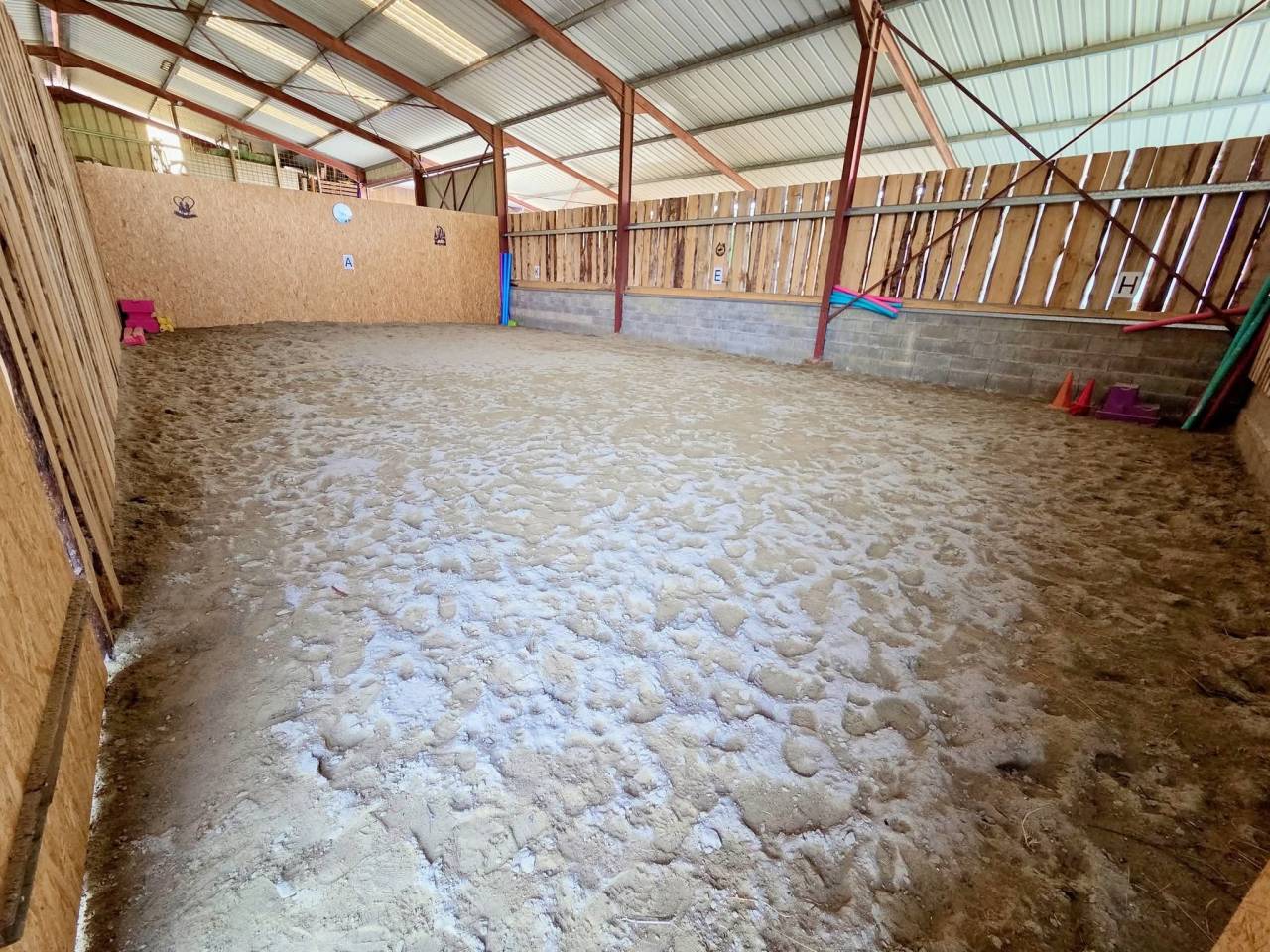 Stabulation libre pour chevaux 