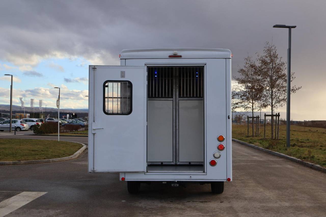 VL RENAULT MASTER 165CH CAVALCAR 3P STALLE 