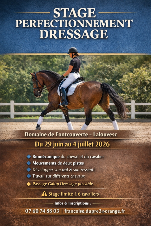 Stage perfectionnement dressage 