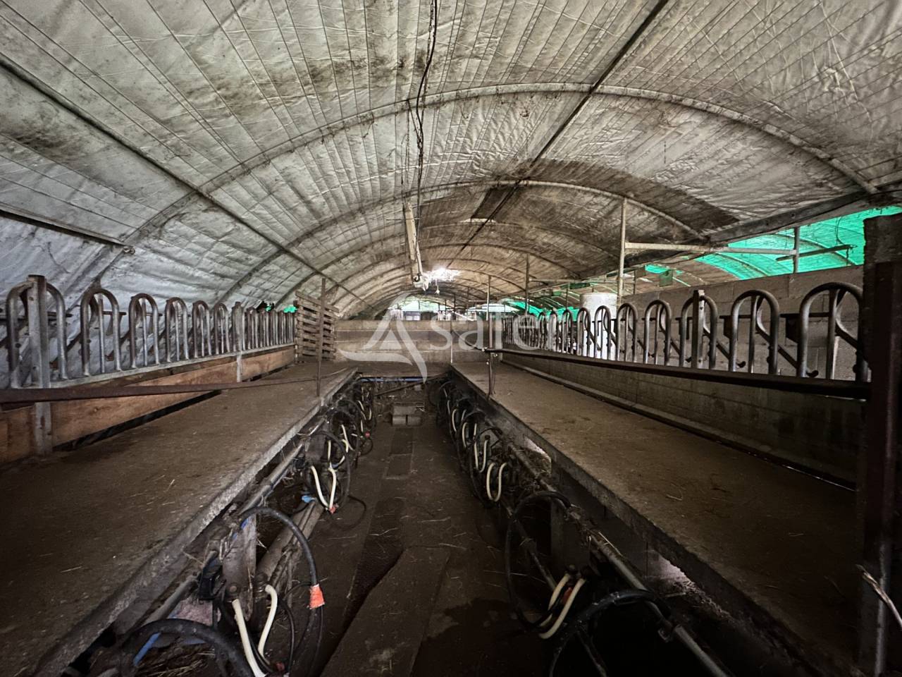 Exploitation Ovin/ Caprin 20 hectares