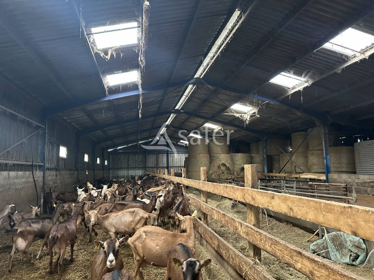 Exploitation Ovin/ Caprin 20 hectares