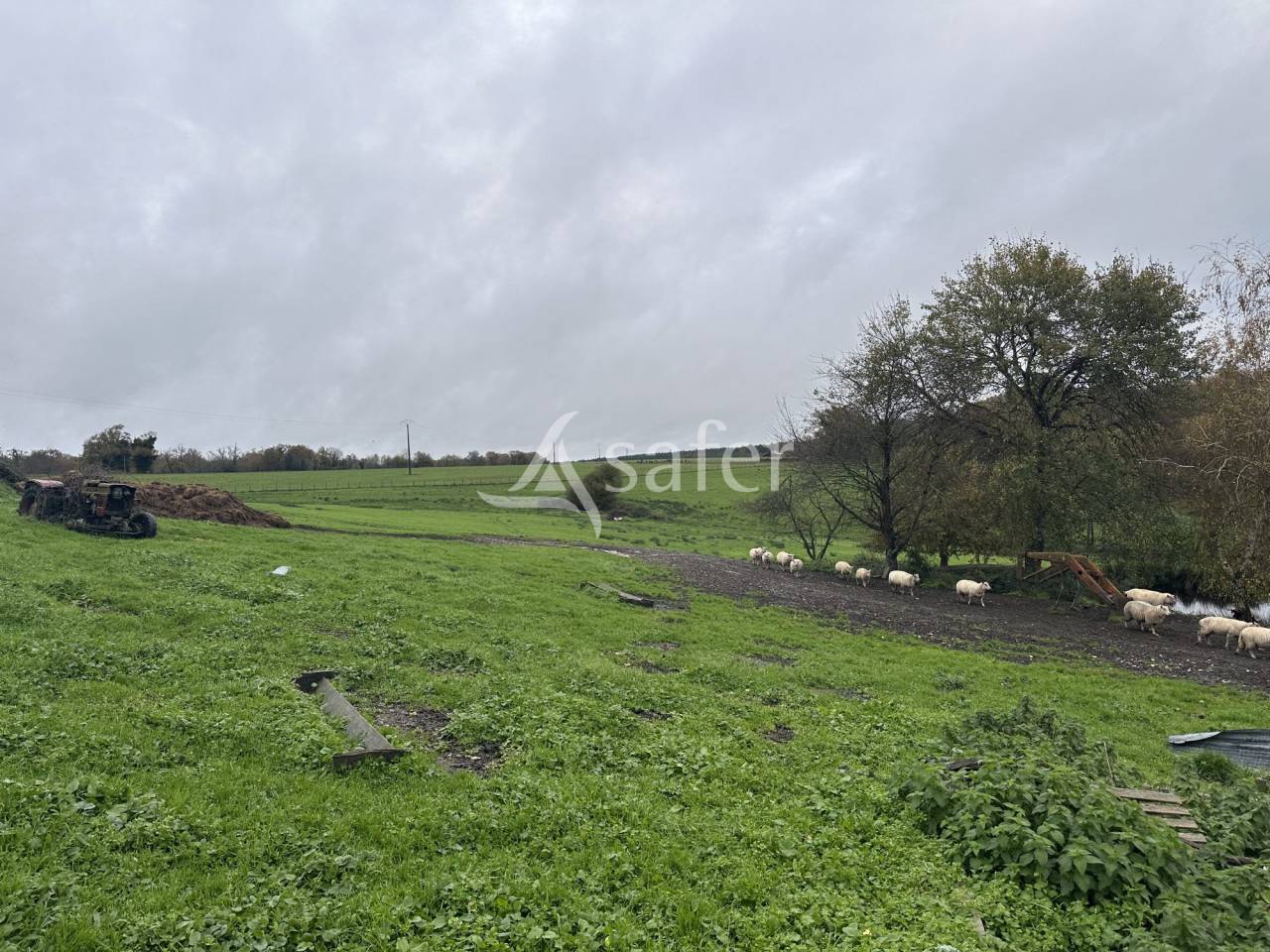 Exploitation Ovin/ Caprin 20 hectares