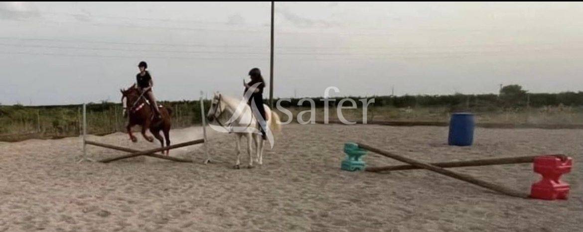 Opportunit&eacute; d'installation et lieu de vie pr&egrave;s de P&eacute;z&eacute;nas et