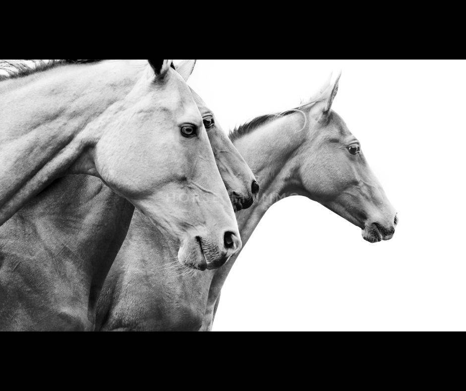 Maison &agrave; vendre Eygui&egrave;res