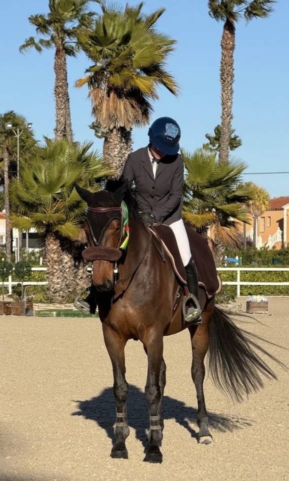 &Agrave; vendre jument de sport 8 ans 